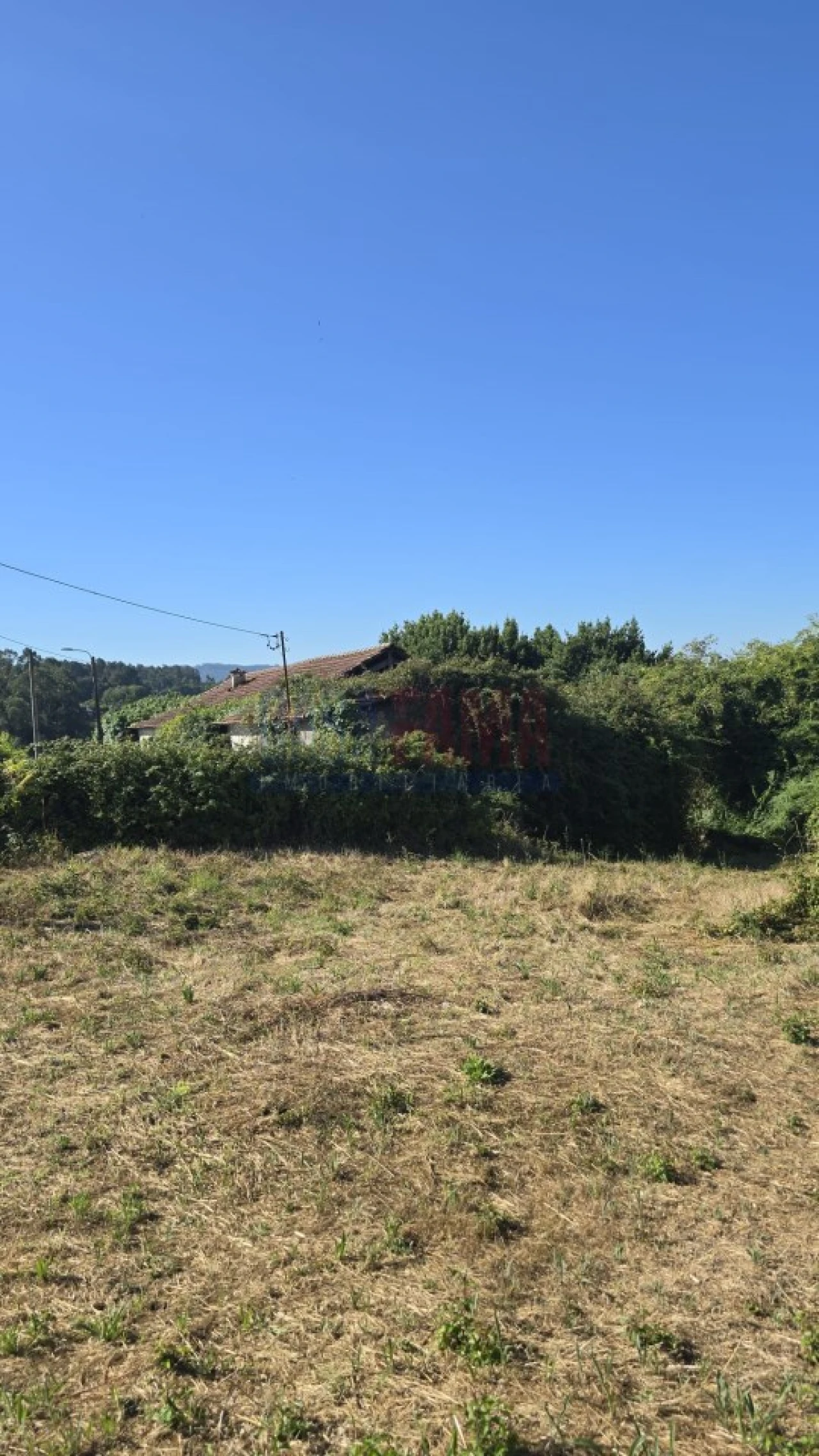 Terreno para Venda em Landim Foto 13