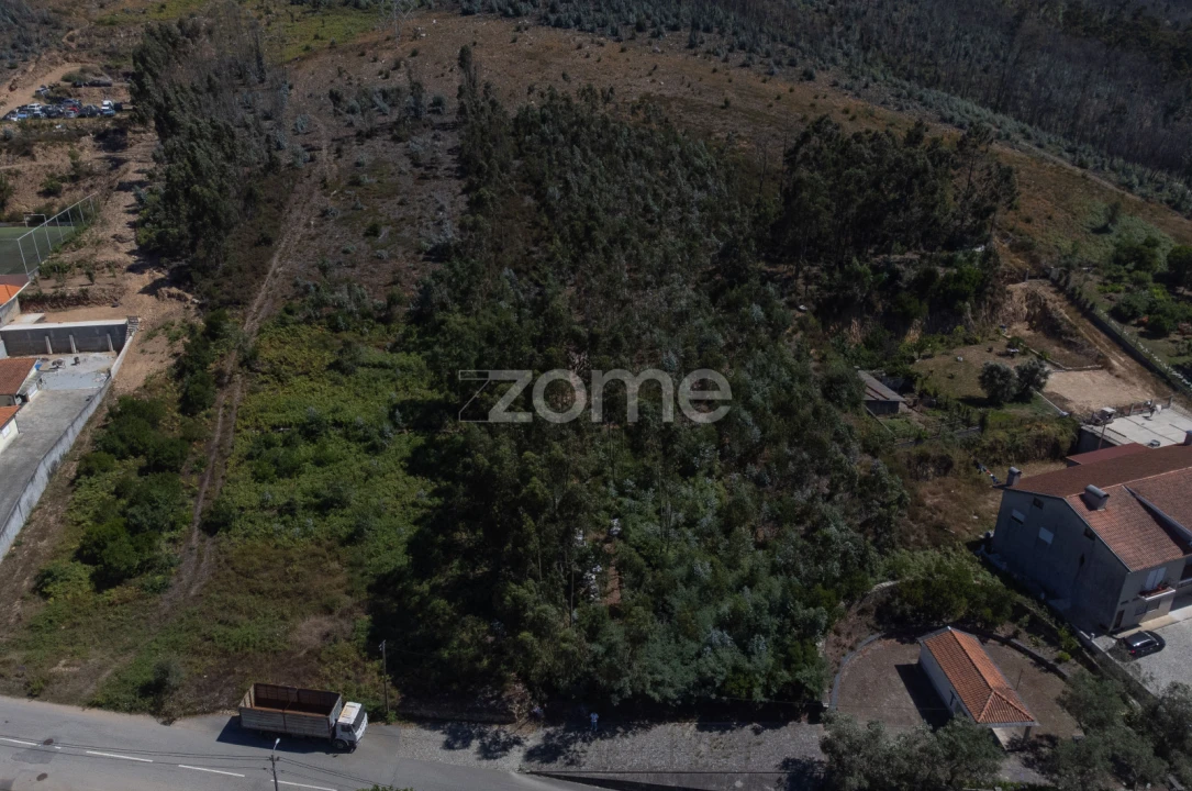 Terreno para Venda em Eja Foto 9