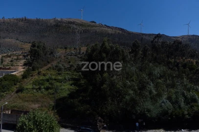 Terreno para Venda em Eja