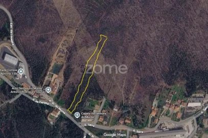 Terreno para Venda em Eja