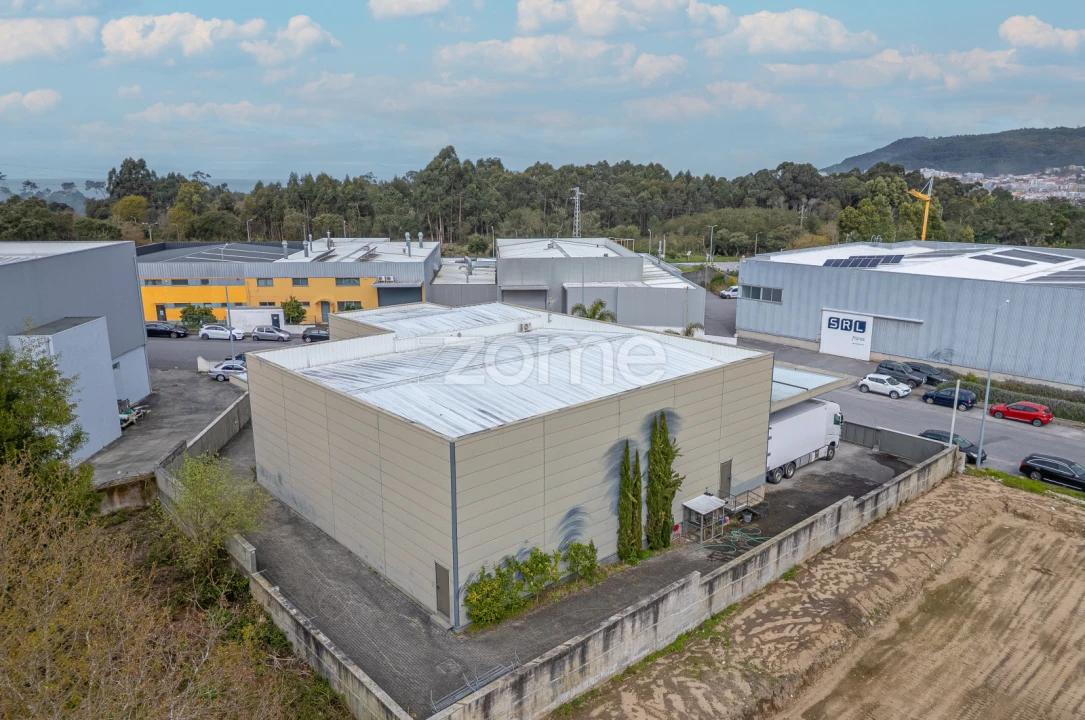 Terreno Comércio / Armazém para Venda em Ancora Foto 4