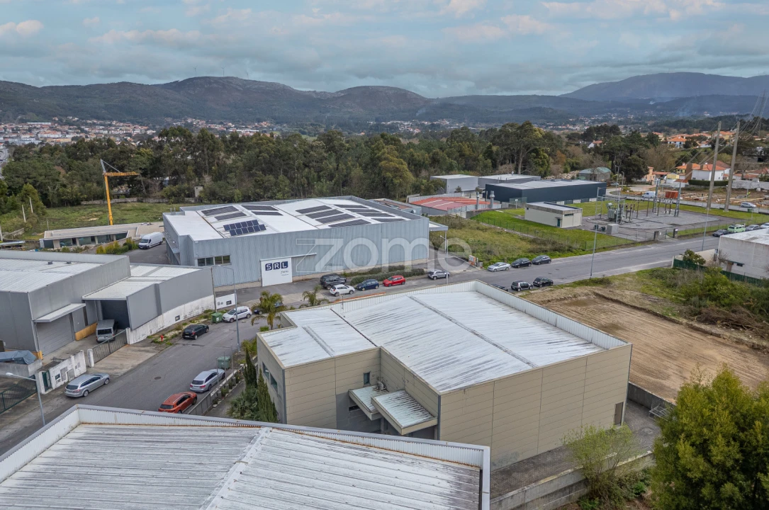 Terreno Comércio / Armazém para Venda em Ancora Foto 5