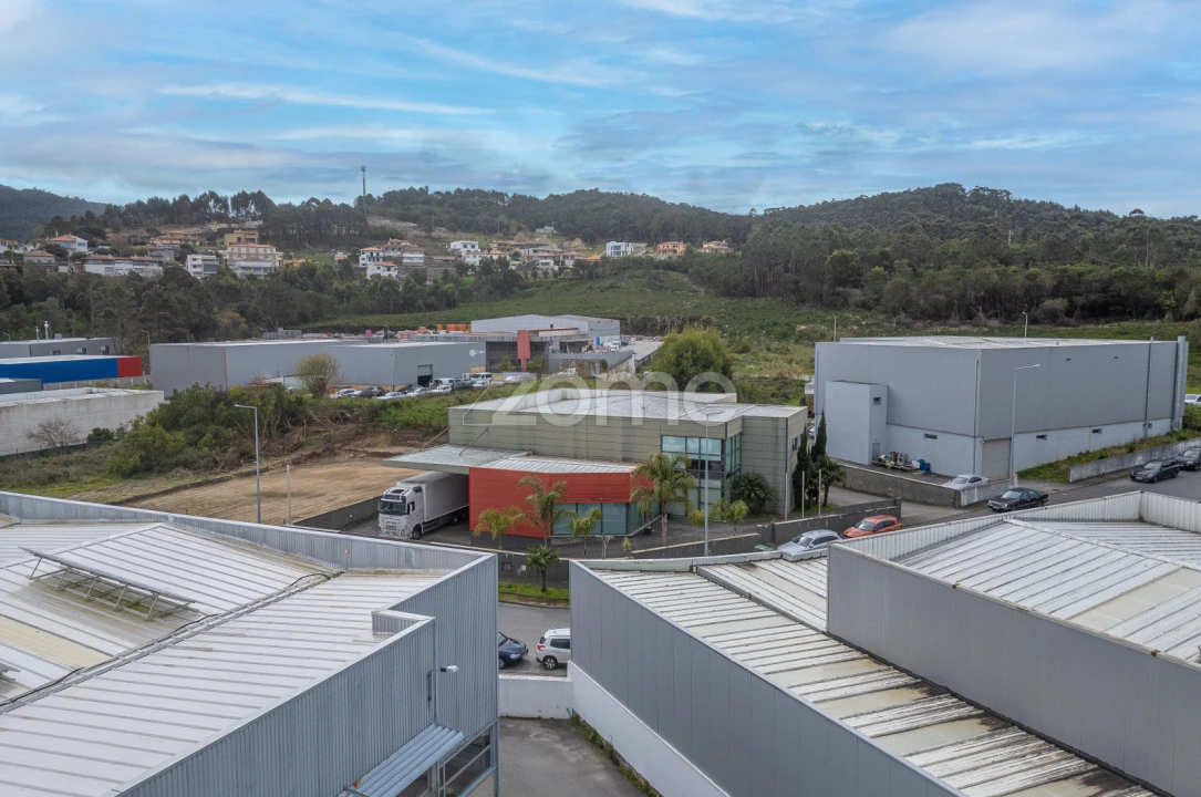 Terreno Comércio / Armazém para Venda em Ancora Foto 16