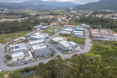 Terreno Comércio / Armazém para Venda em Ancora