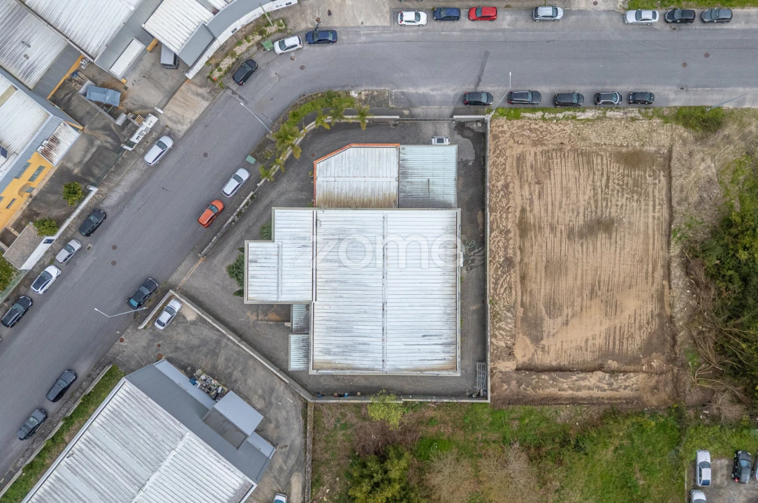 Terreno Comércio / Armazém para Venda em Ancora Foto 6