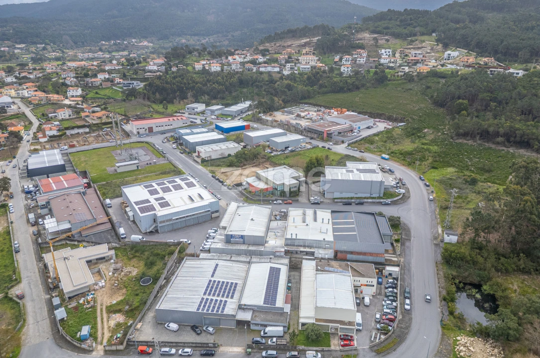 Terreno Comércio / Armazém para Venda em Ancora Foto 7