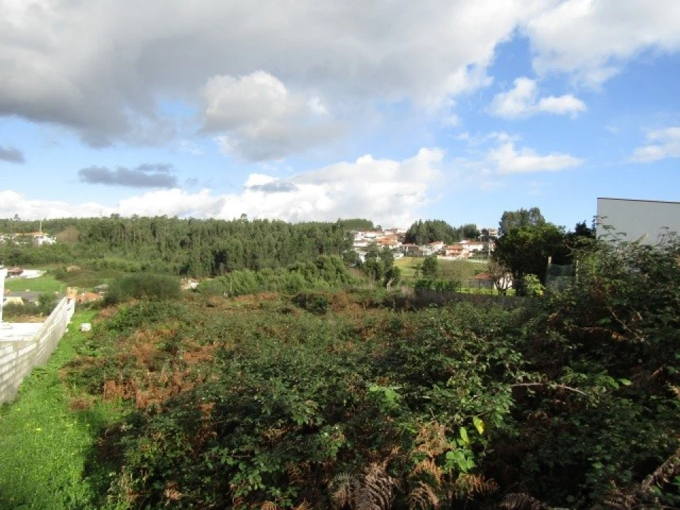 Terreno para Venda em São Miguel do Souto e Mosteirô Foto 1