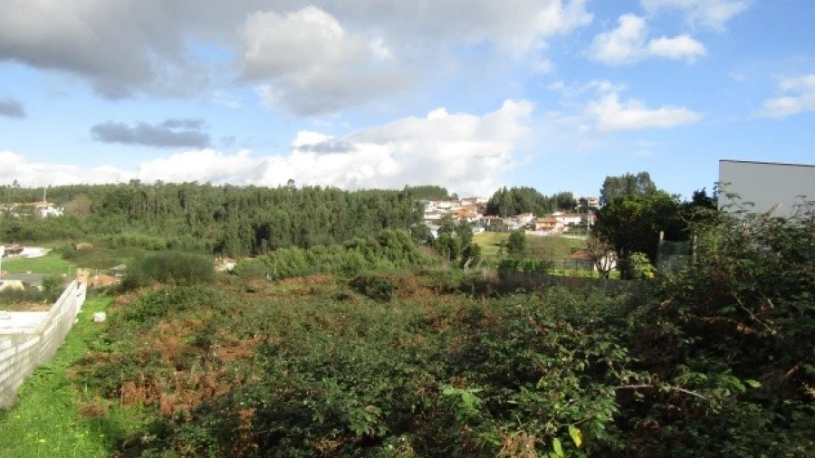 Terreno para Venda em São Miguel do Souto e Mosteirô