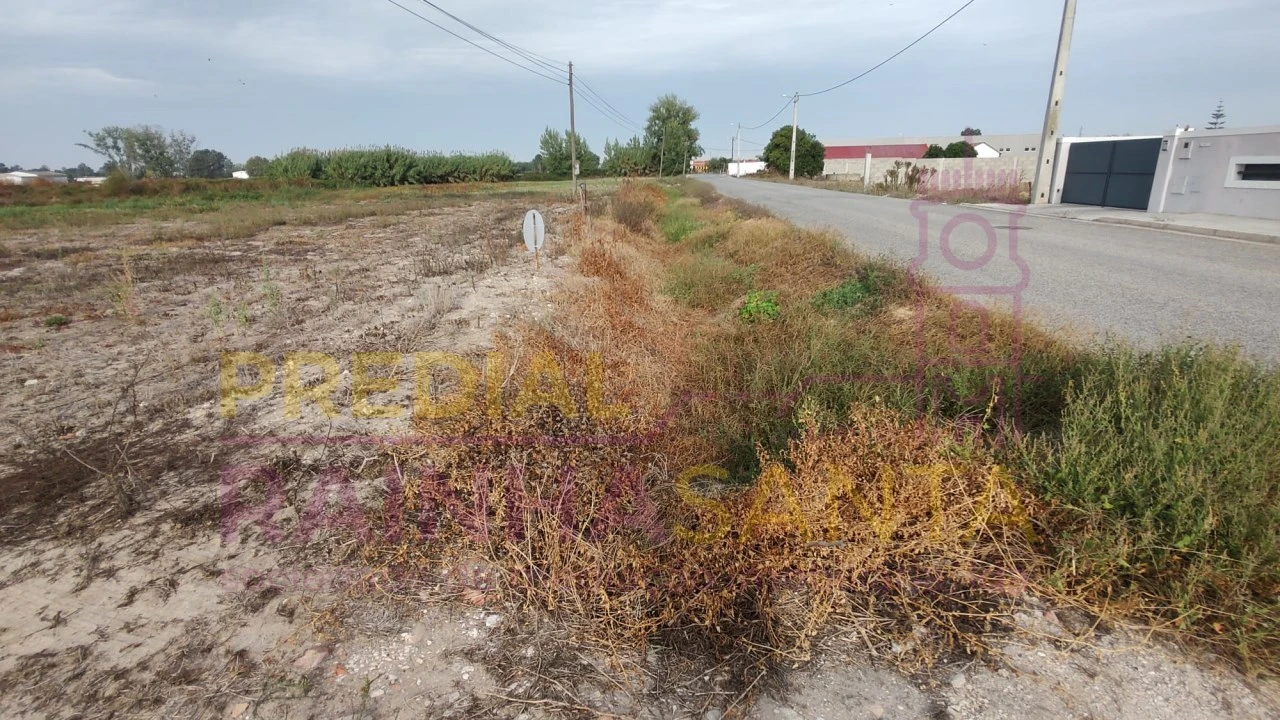 Terreno para Venda em Salvaterra de Magos e Foros de Salvaterra Foto 2