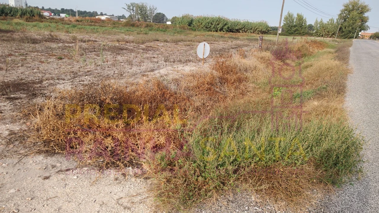 Terreno para Venda em Salvaterra de Magos e Foros de Salvaterra Foto 4