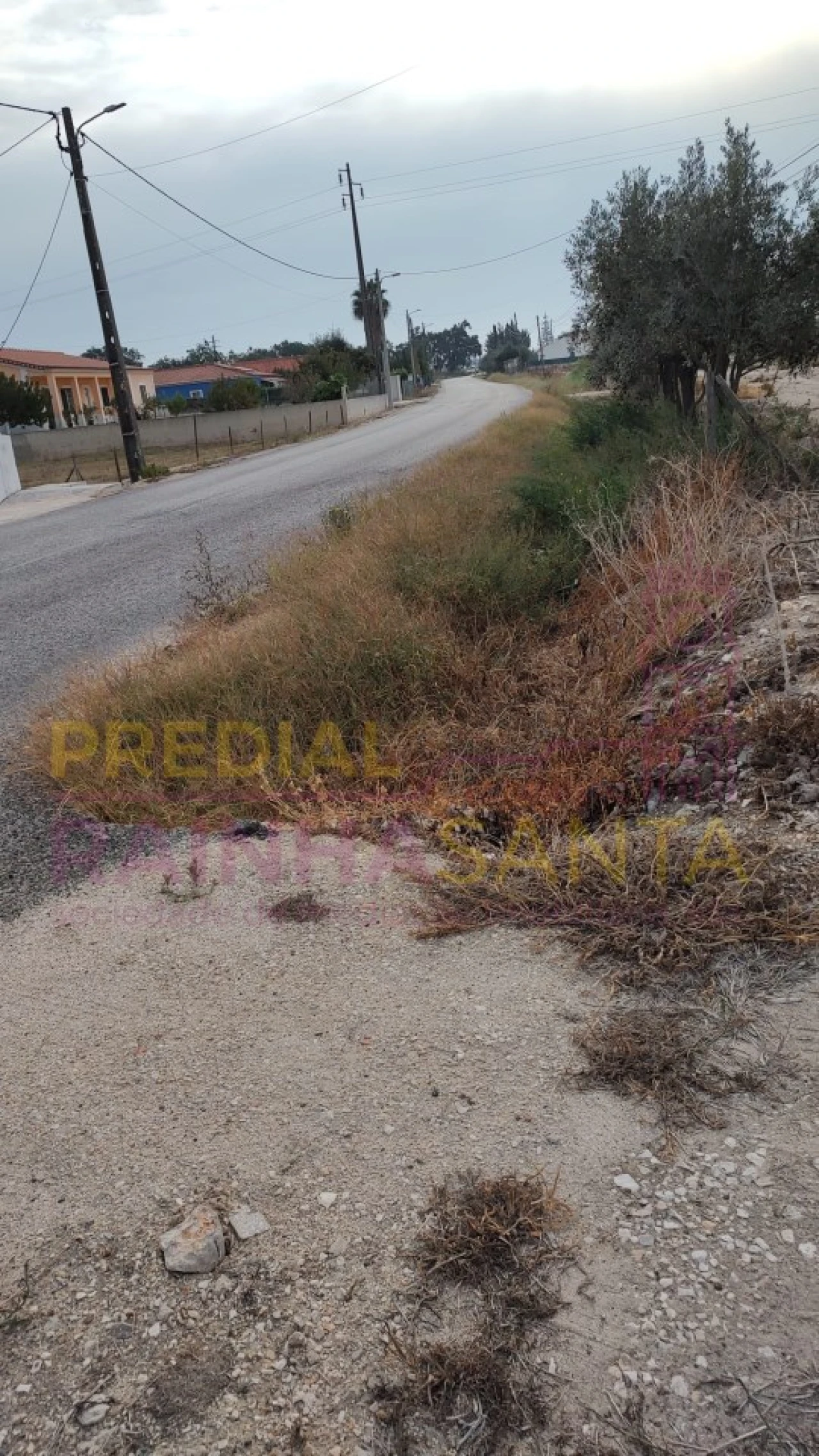 Terreno para Venda em Salvaterra de Magos e Foros de Salvaterra Foto 6