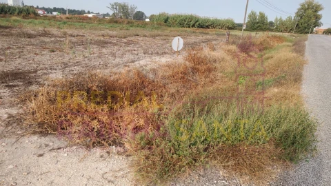 Terreno para Venda em Salvaterra de Magos e Foros de Salvaterra