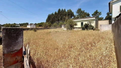 Terreno para Venda em Moita