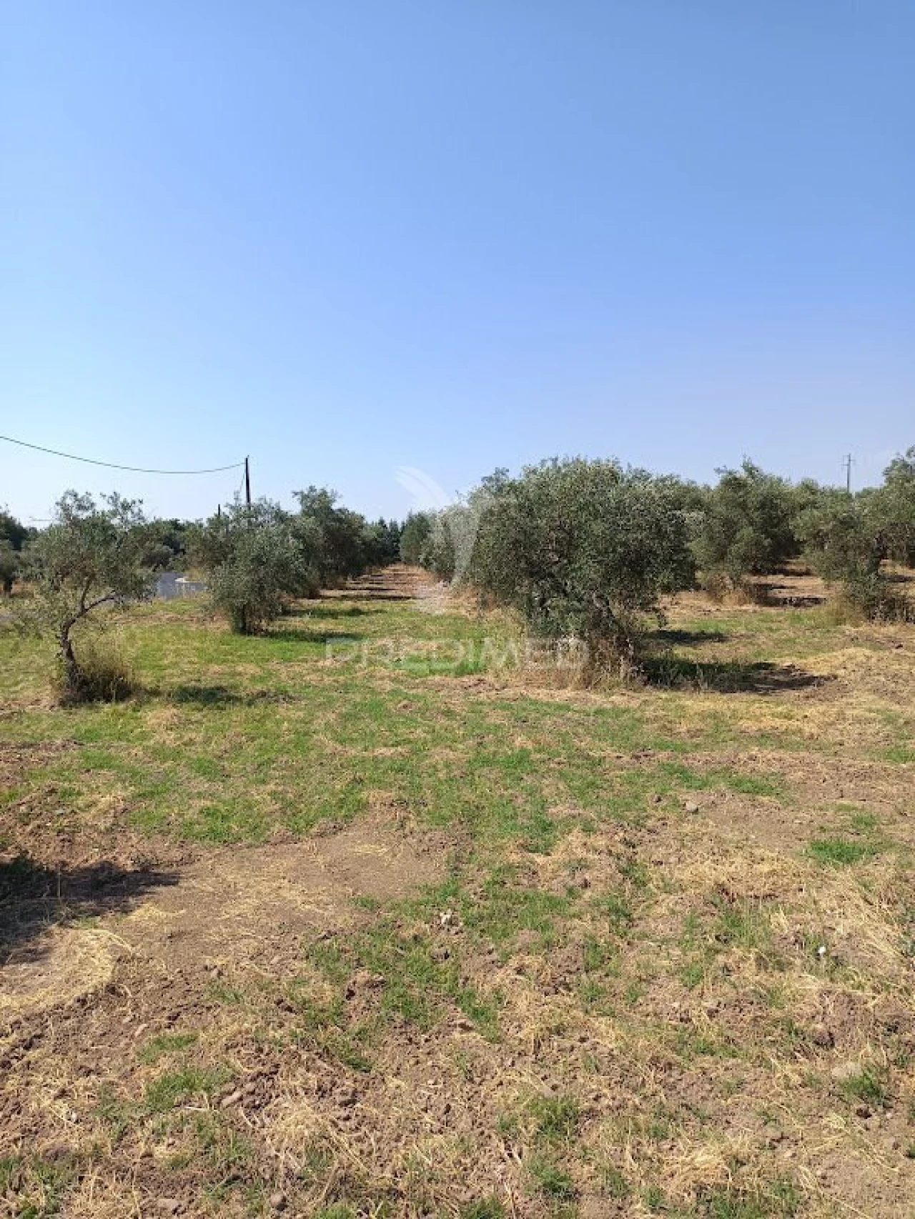 Terreno para Venda em Nossa Senhora da Expectação Foto 24