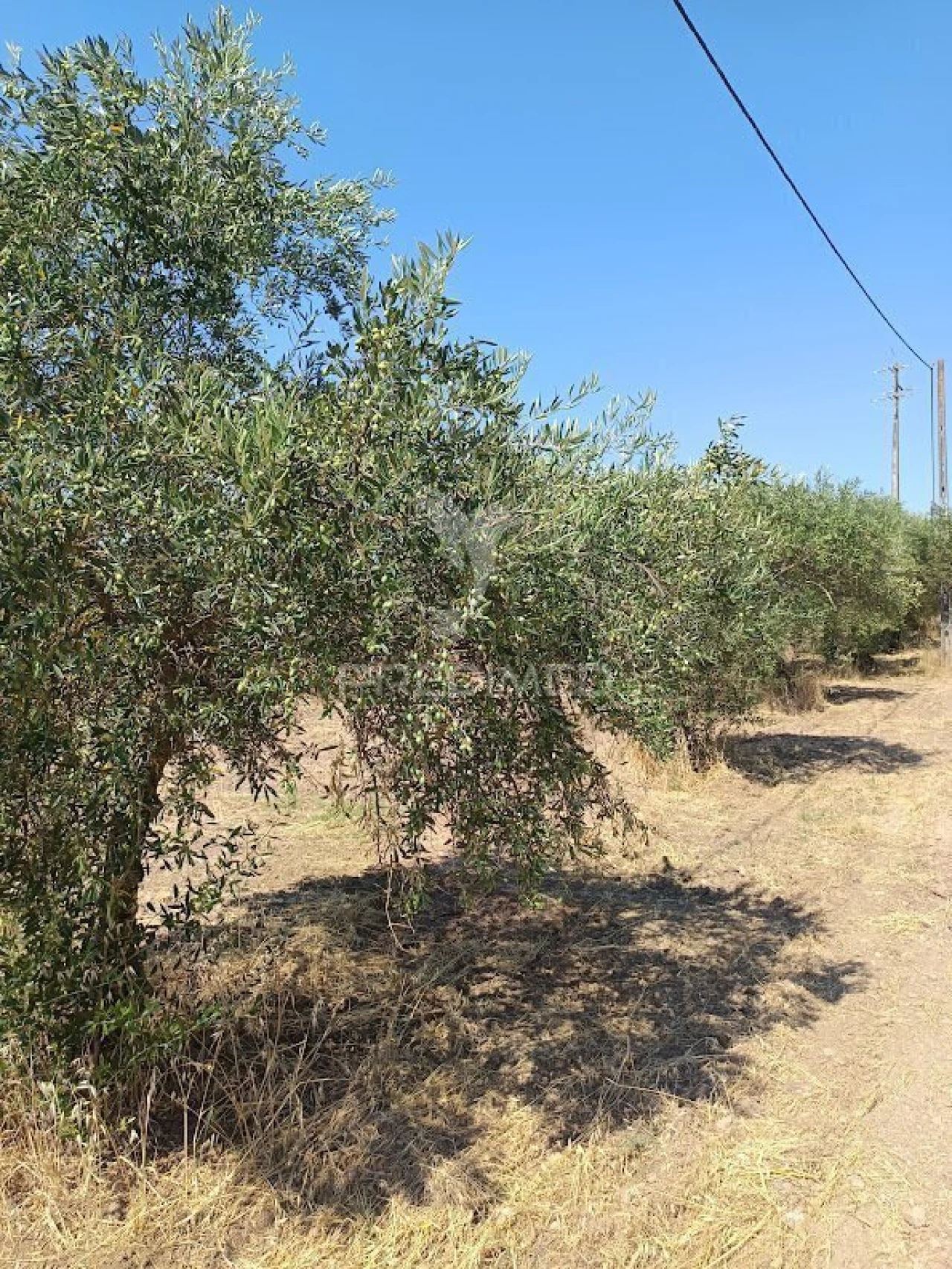 Terreno para Venda em Nossa Senhora da Expectação Foto 21