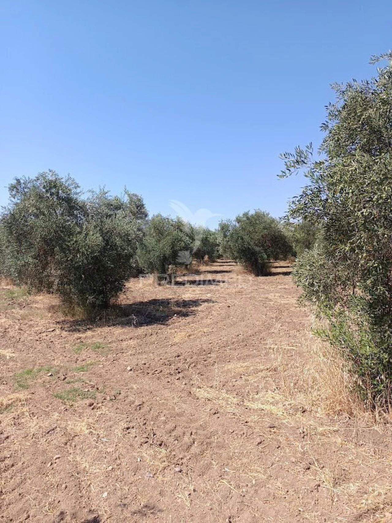 Terreno para Venda em Nossa Senhora da Expectação Foto 23
