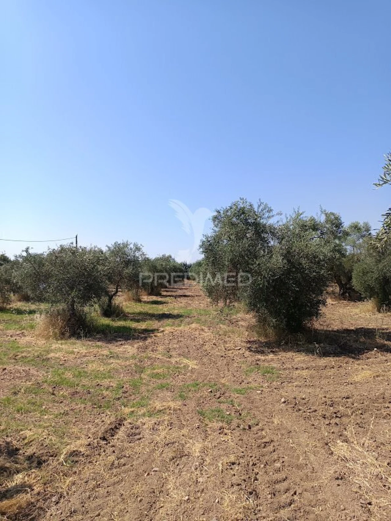Terreno para Venda em Nossa Senhora da Expectação Foto 20