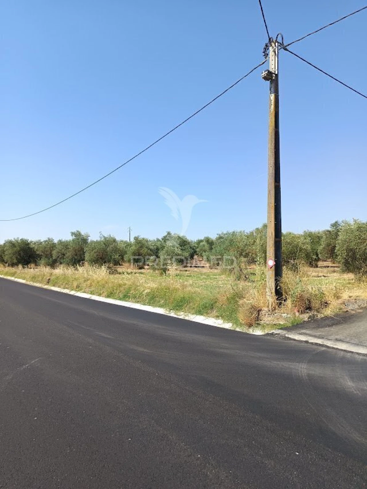 Terreno para Venda em Nossa Senhora da Expectação Foto 25