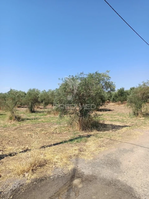 Terreno para Venda em Nossa Senhora da Expectação