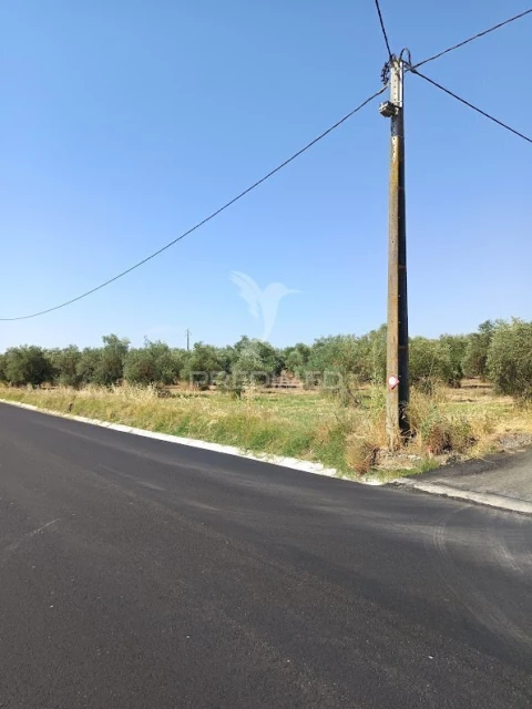 Terreno para Venda em Nossa Senhora da Expectação