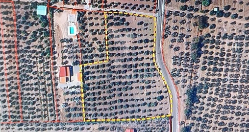 Terreno para Venda em Nossa Senhora da Expectação