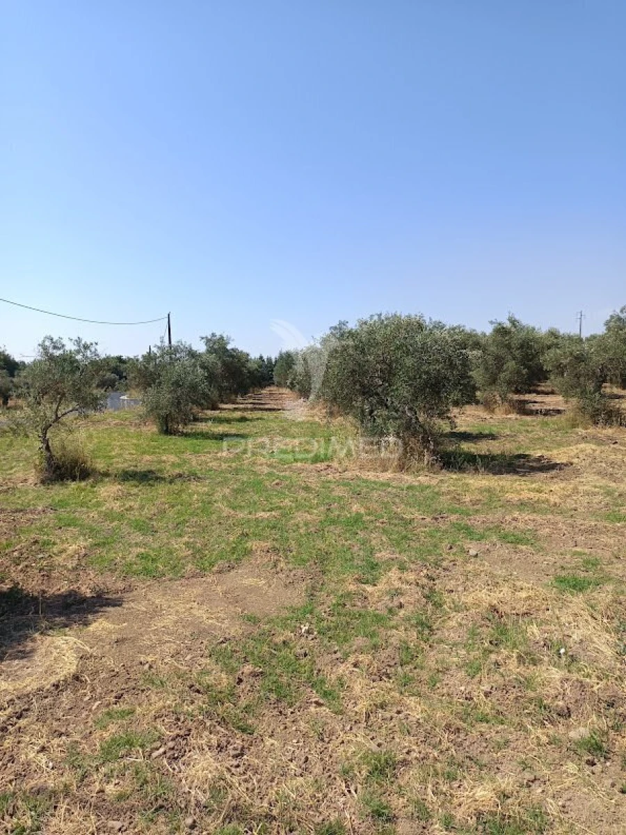 Terreno para Venda em Nossa Senhora da Expectação Foto 24