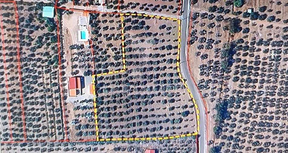 Terreno para Venda em Nossa Senhora da Expectação Foto 14