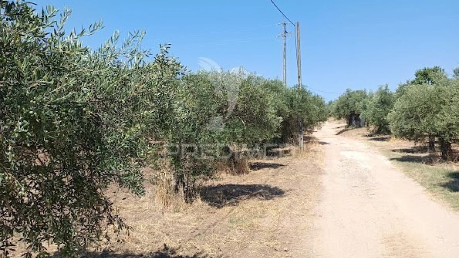 Terreno para Venda em Nossa Senhora da Expectação