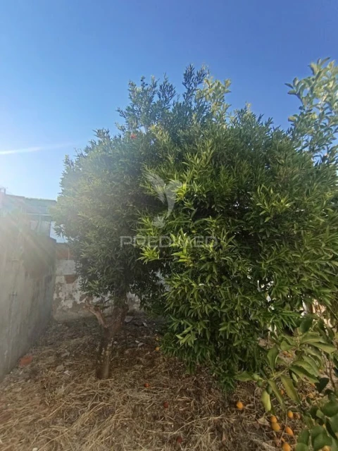 Terreno para Venda em Nossa Senhora da Expectação