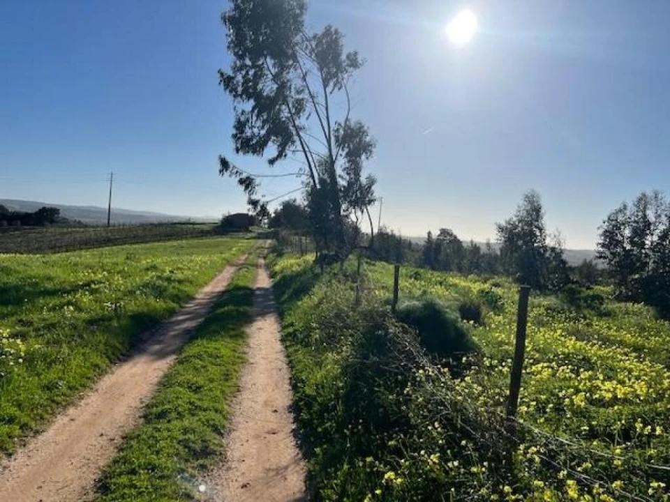 Prédio para Venda em Ventosa Foto 11