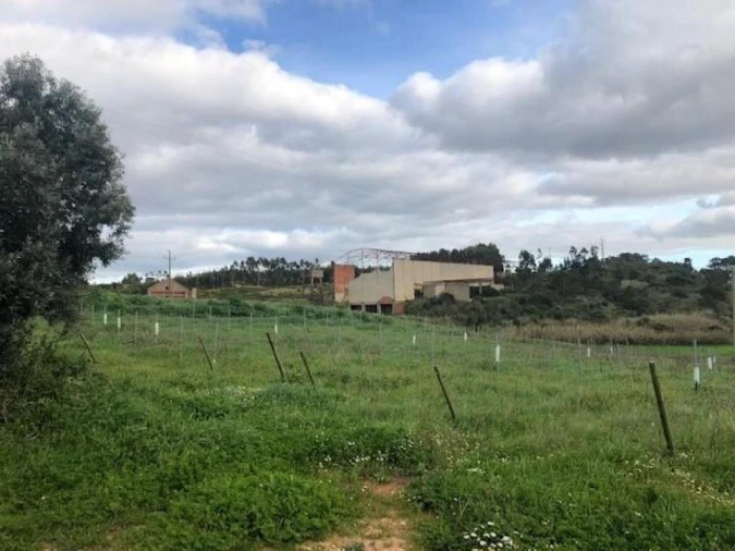 Prédio para Venda em Ventosa Foto 6