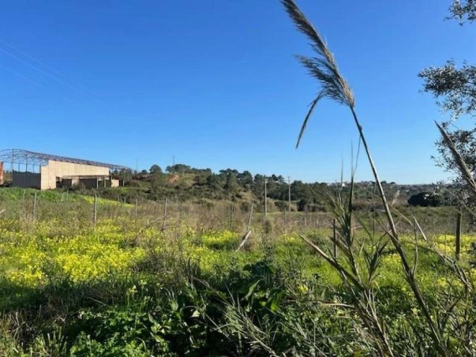 Prédio para Venda em Ventosa Foto 7