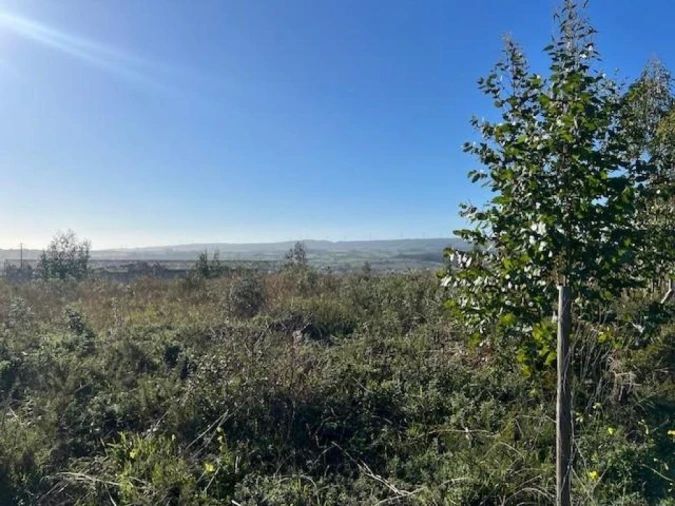 Prédio para Venda em Ventosa Foto 9