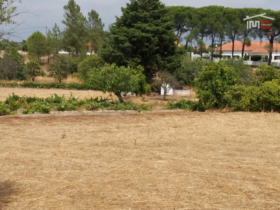 Terreno Agricola ou Rústico para Venda em Coruche, Fajarda e Erra Foto 4