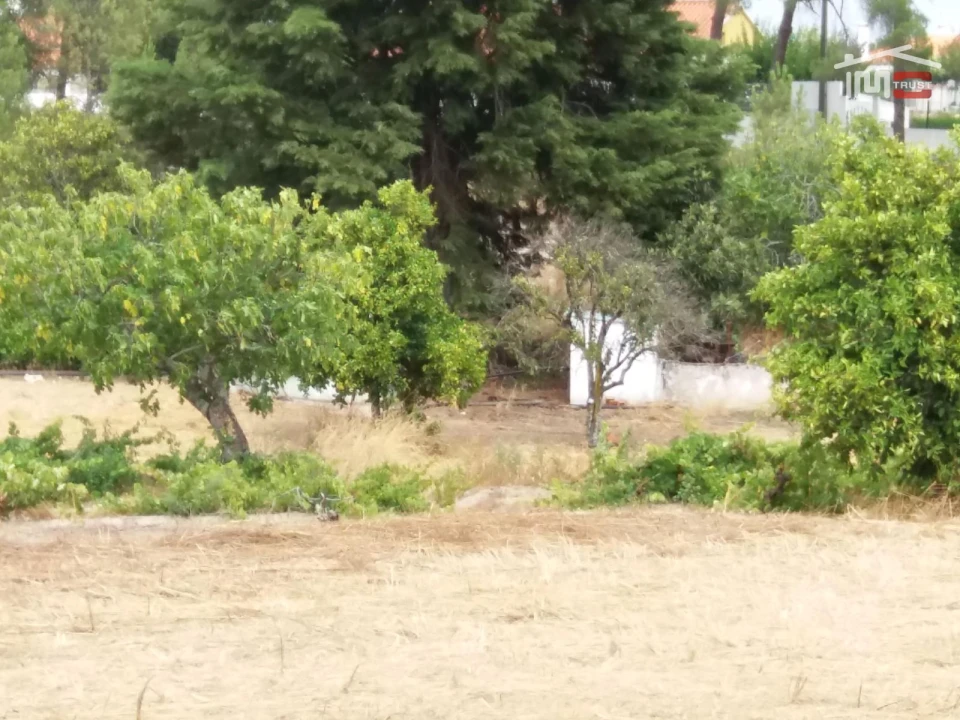 Terreno Agricola ou Rústico para Venda em Coruche, Fajarda e Erra Foto 5