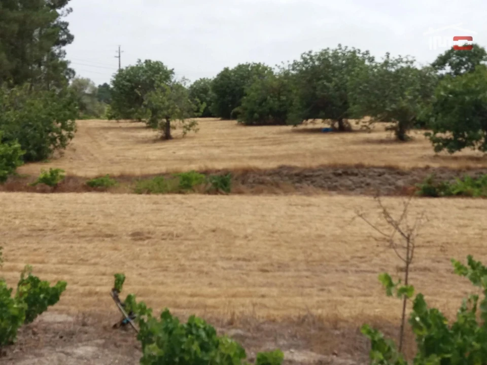 Terreno Agricola ou Rústico para Venda em Coruche, Fajarda e Erra Foto 11
