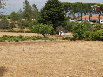 Terreno Agricola ou Rústico para Venda em Coruche, Fajarda e Erra