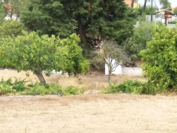Terreno Agricola ou Rústico para Venda em Coruche, Fajarda e Erra