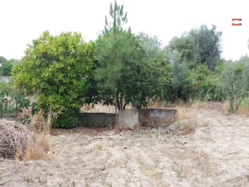 Terreno Agricola ou Rústico para Venda em Coruche, Fajarda e Erra