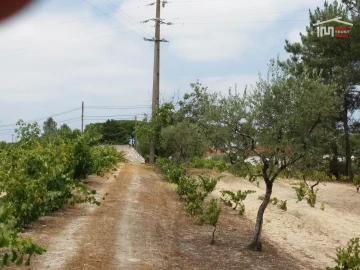 Terreno Agricola ou Rústico para Venda em Coruche, Fajarda e Erra