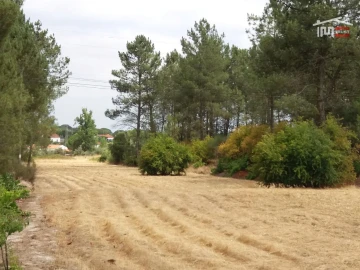 Terreno Agricola ou Rústico para Venda em Coruche, Fajarda e Erra