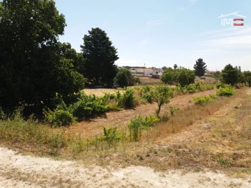 Terreno Agricola ou Rústico para Venda em Coruche, Fajarda e Erra