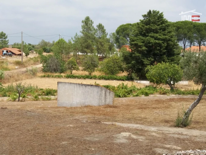 Terreno Agricola ou Rústico para Venda em Coruche, Fajarda e Erra Foto 3