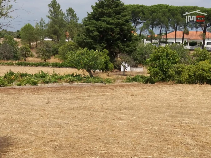Terreno Agricola ou Rústico para Venda em Coruche, Fajarda e Erra Foto 4