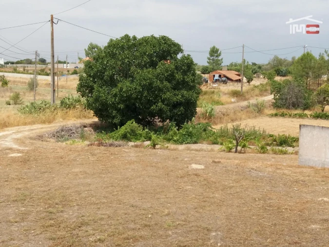 Terreno Agricola ou Rústico para Venda em Coruche, Fajarda e Erra Foto 6