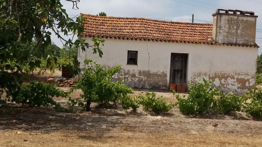 Terreno Agricola ou Rústico para Venda em Coruche, Fajarda e Erra