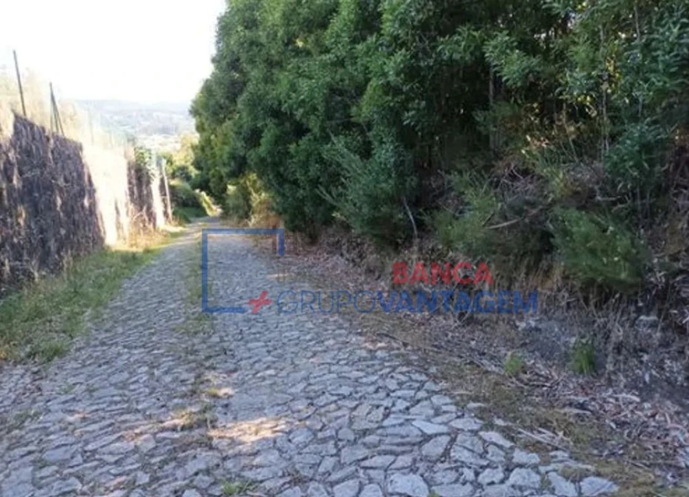 Terreno para Venda em Venade e Azevedo Foto 5