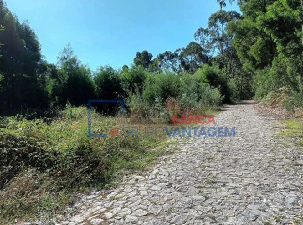 Terreno para Venda em Venade e Azevedo Foto 7