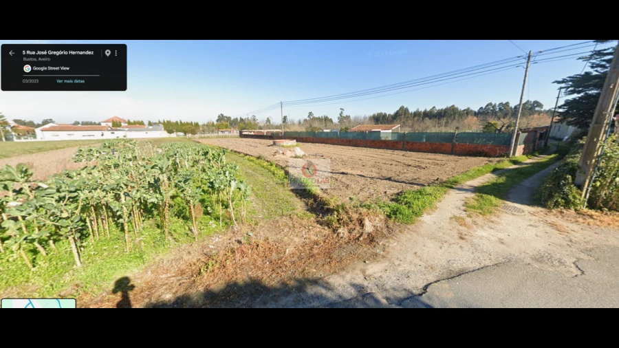 Terreno para Venda em Bustos, Troviscal e Mamarrosa