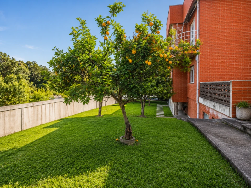 Apartamento T3 para Venda em Grijó e Sermonde Foto 15
